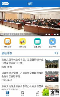 應用搜索 互聯網信息服務的起點與演進